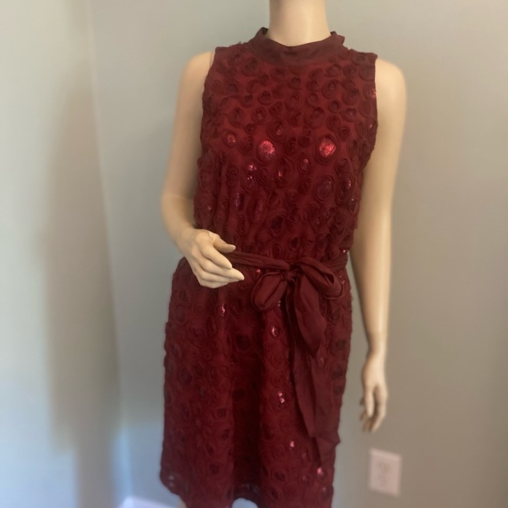 NWT‎ ANTHROPOLOGY WINE BOARDX 3 -D FLORAL DRESS SZ 10